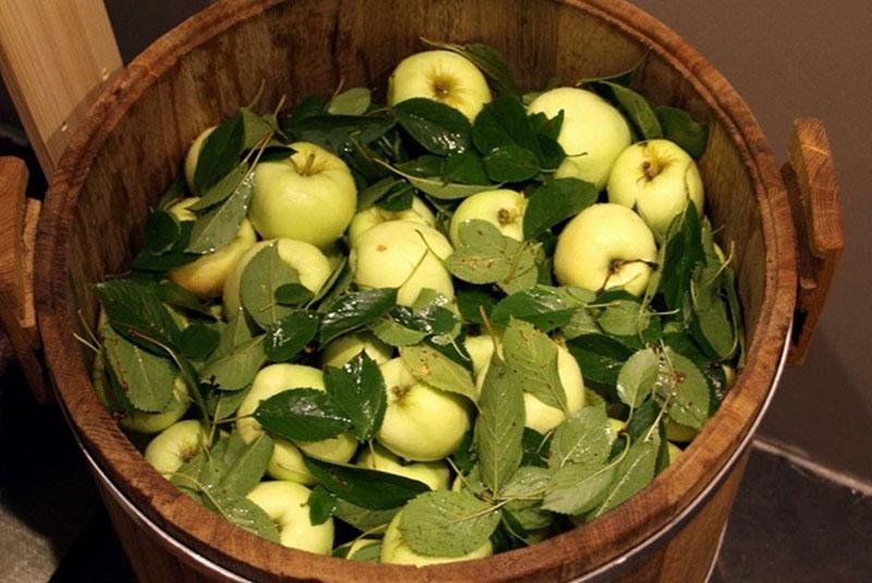 recept voor ingemaakte appels in de geest van Russische tradities