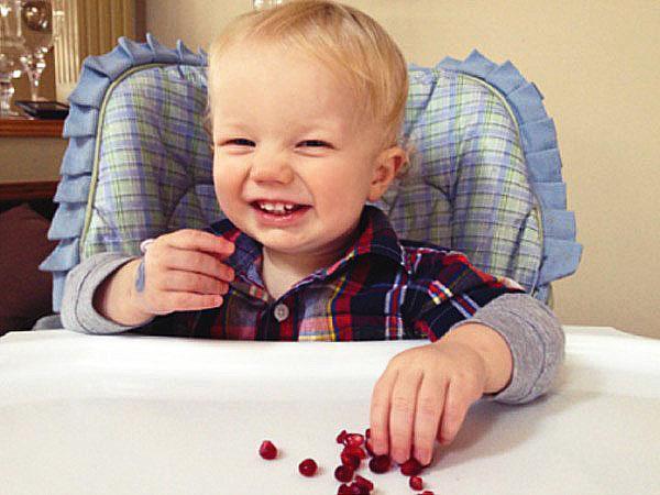 baby's kunnen granaatappel met mate gebruiken