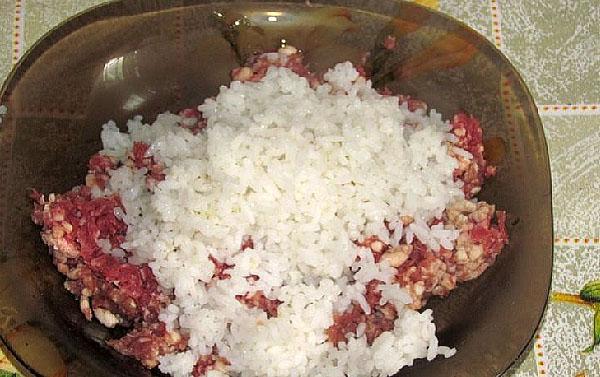 pomiješajte rižu s mljevenim mesom