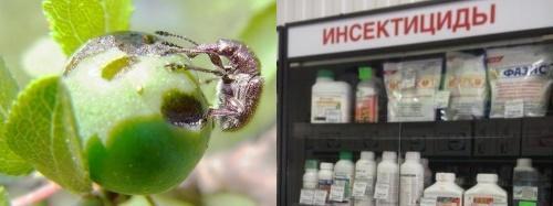 insecticiden