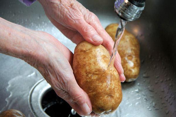 Voor het ontkiemen worden aardappelen gewassen
