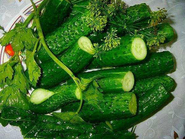 komkommers bereiden