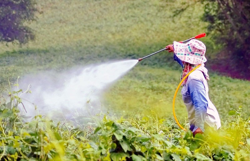 de impact van pesticiden op het milieu