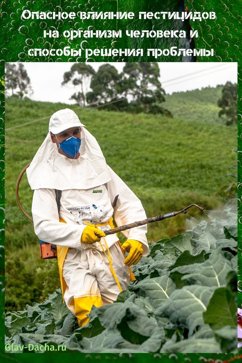 het effect van pesticiden op het menselijk lichaam