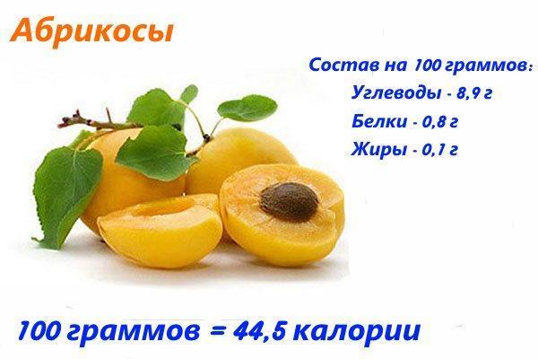calorie abrikoos
