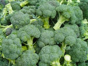 rijke oogst broccolikool