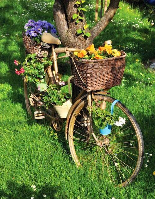 male cvjetnjake na biciklu