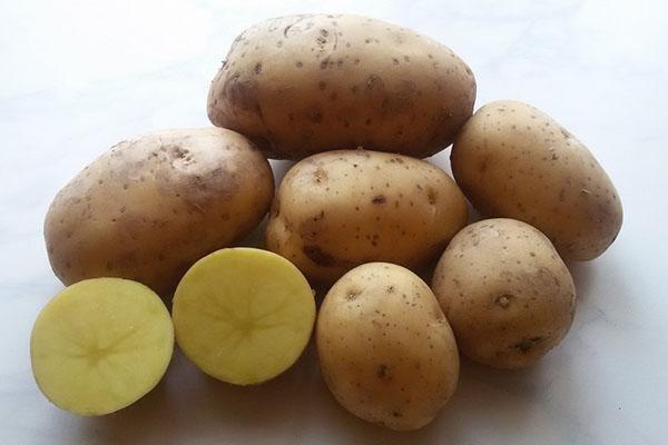 Gala krumpir