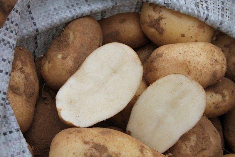 weggesneden aardappelknollen
