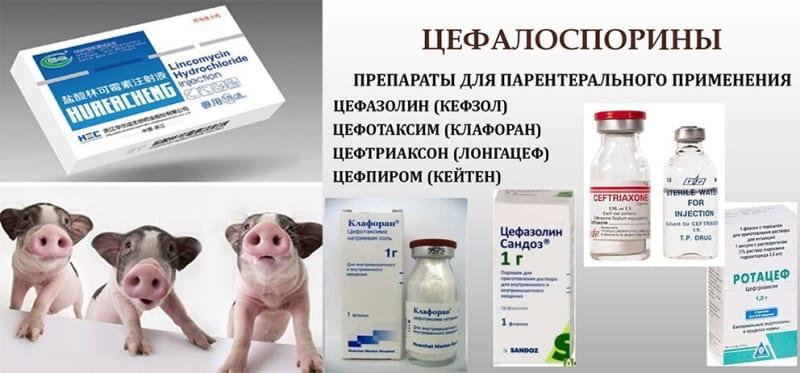 geneesmiddelen tegen parakeratose bij varkens