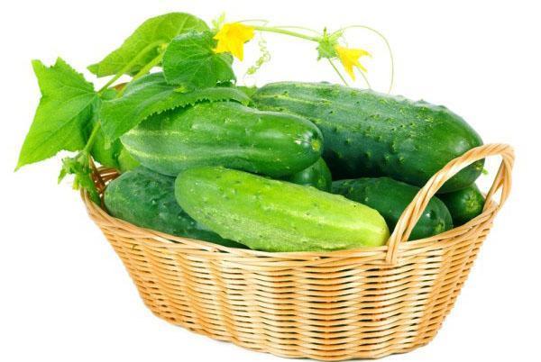 komkommers uit je tuin