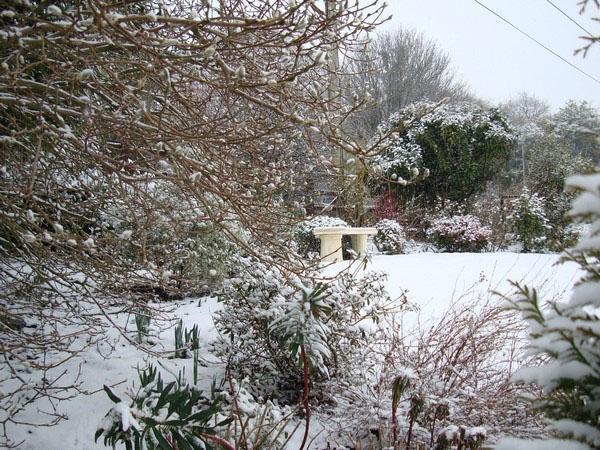 een tuin onder een laag sneeuw