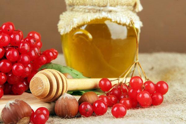viburnum en honing voor jam