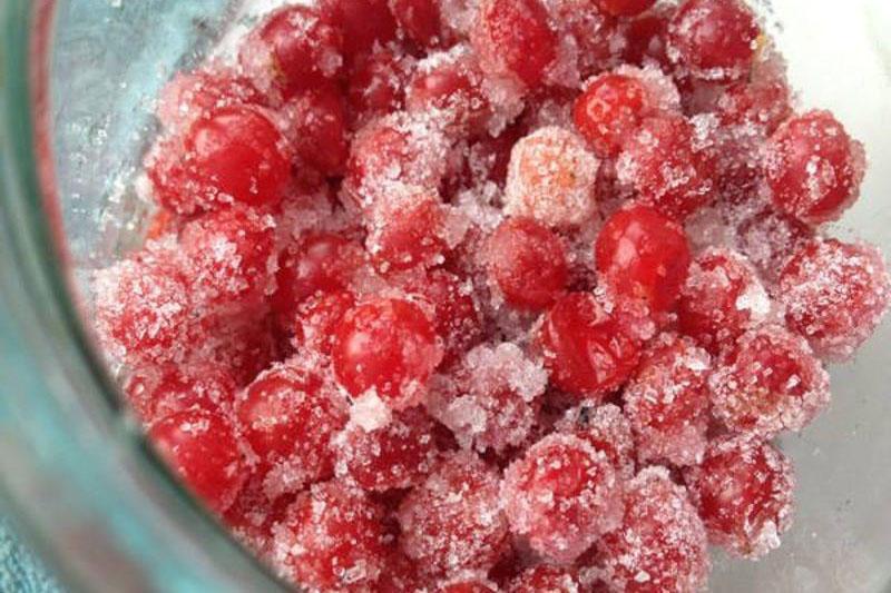 najbolji recepti za berbu viburnuma za zimu u šećeru