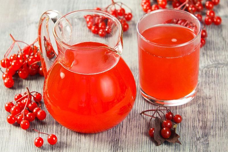 de beste viburnumrecepten voor de winter in de vorm van fruitdrank