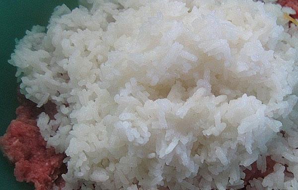 mix gehakt met rijst