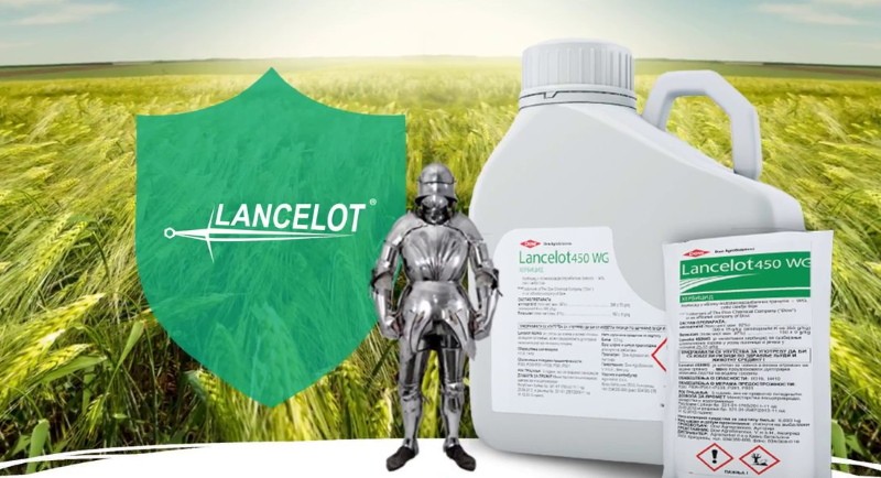herbicide lancelot toepassing