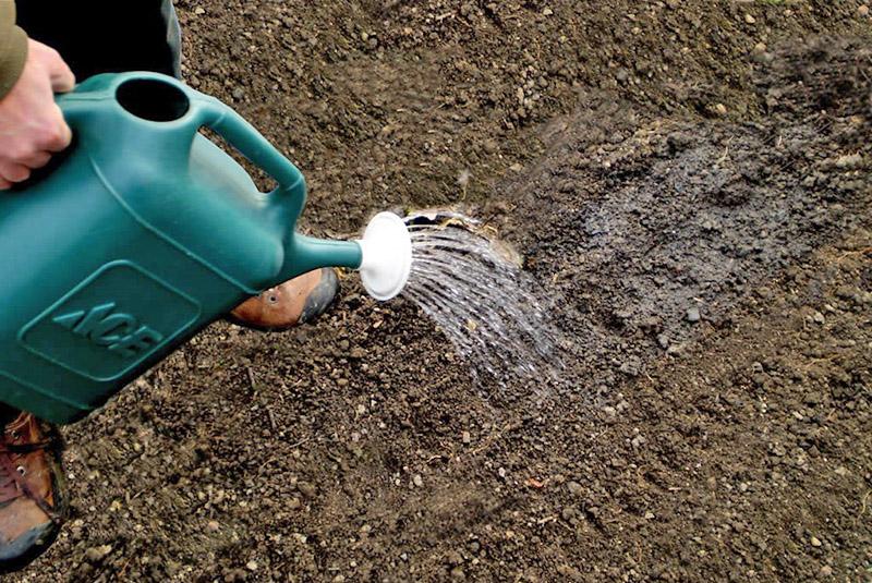 Gebruiksaanwijzing Farmayod voor bodemdesinfectie