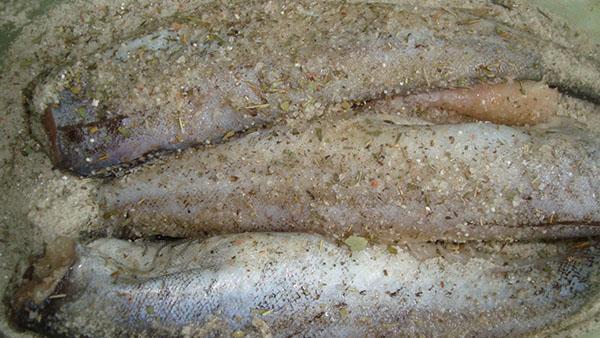 bestrooi de vis met zout en kruiden