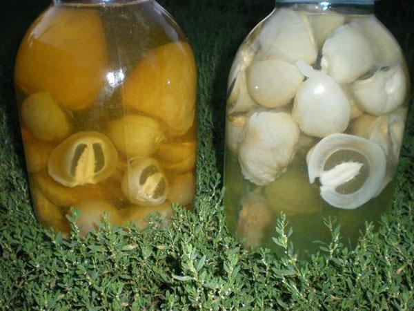 veselka paddenstoelentinctuur in een fles