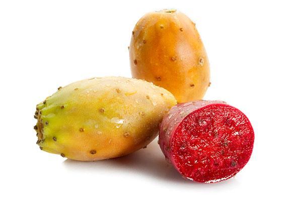 plodovi bodljikavih krušaka imaju korisna svojstva
