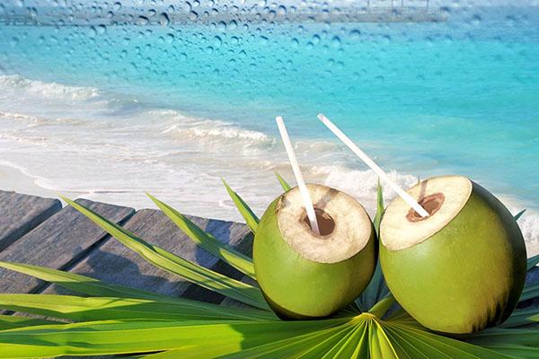 niskokalorična kokosova voda