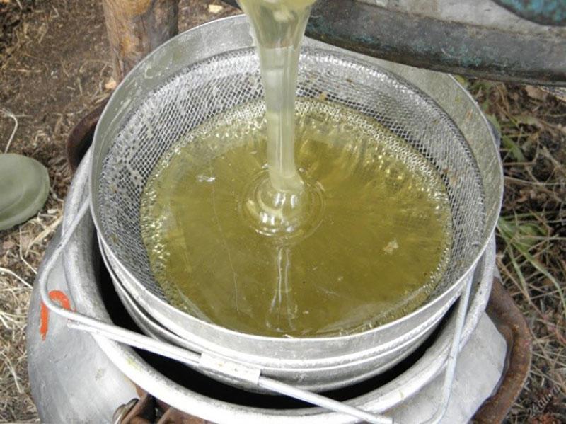 wilgenroosje honing uit honing extractor