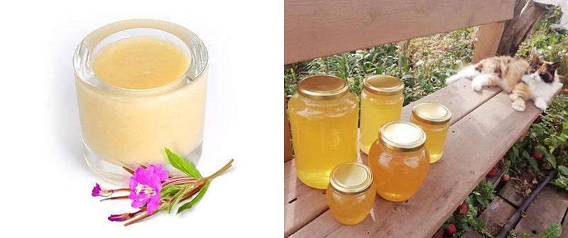 wilgenroosje honing voor verkoudheid