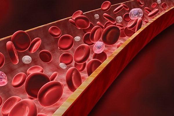 verhoging van het aantal rode bloedcellen