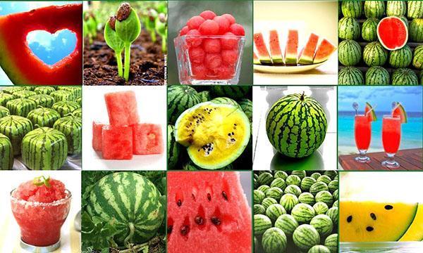 Sok od lubenice povoljno djeluje na sve organe