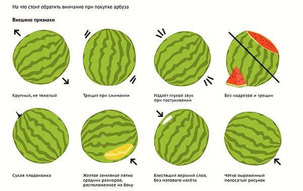 Pravila za odabir zrele sočne lubenice