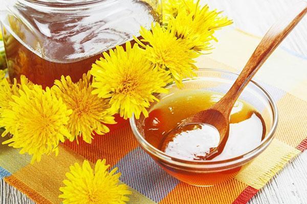 dobrobiti i štete meda od maslačka