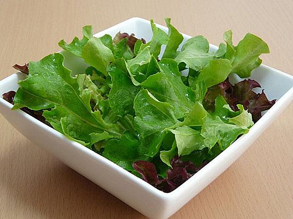 zelena salata u kuhanju