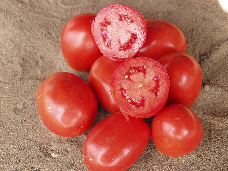 vlezige vruchten van tomaten