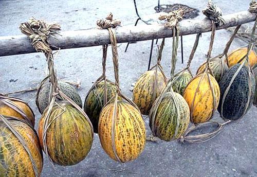 Late soorten Oezbeekse meloenen
