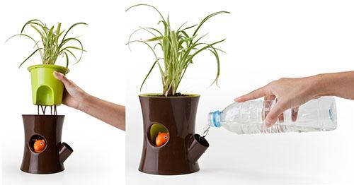 planten water geven