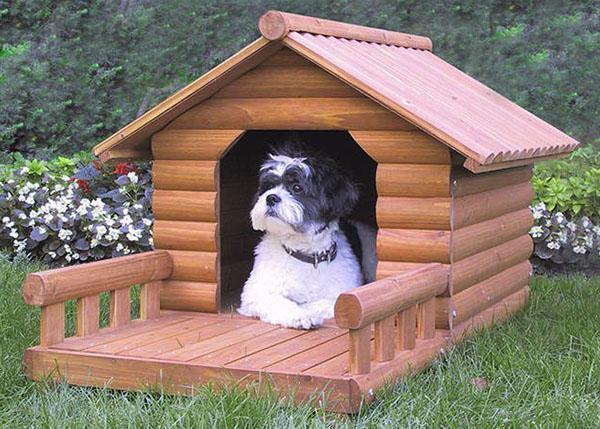 een cabine gemaakt van natuurlijk hout
