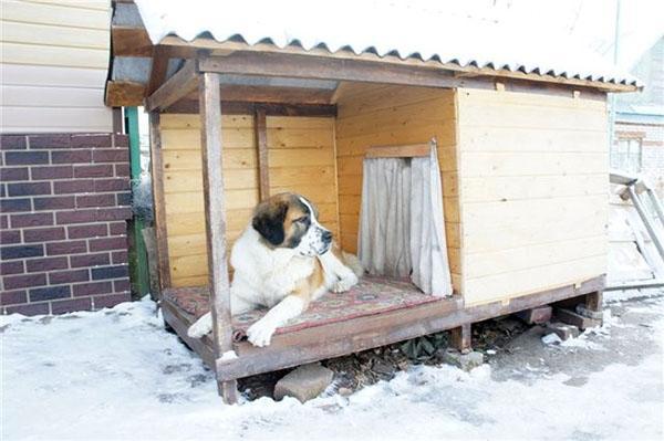 hondenkennel voor de winter