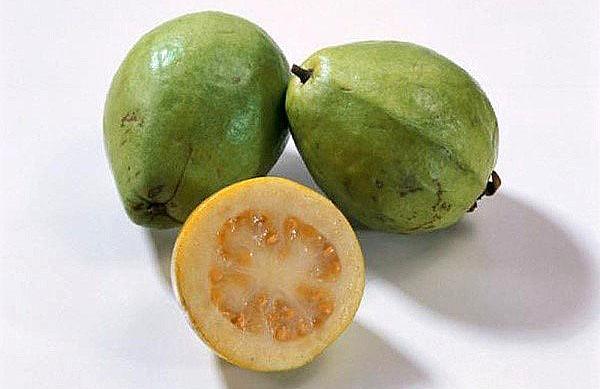 guavevariëteit met geel vruchtvlees