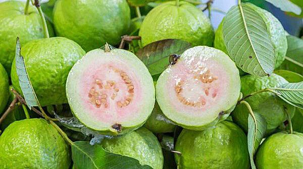 rijpe guave
