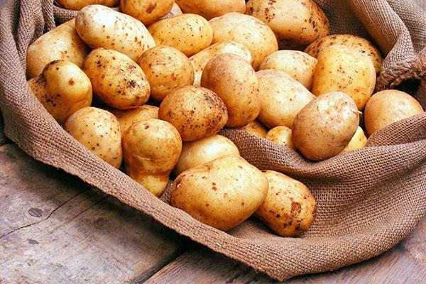 aardappelen verwerken voor het planten