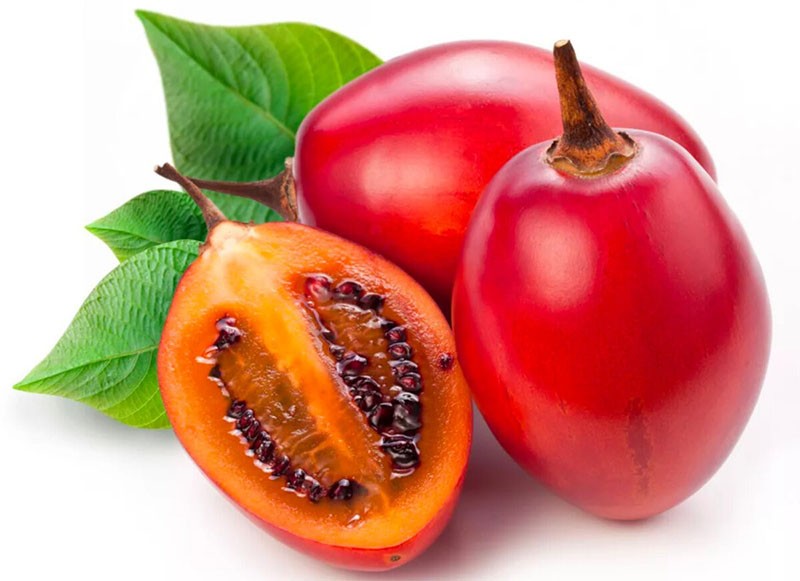 plod stabla rajčice u rezu