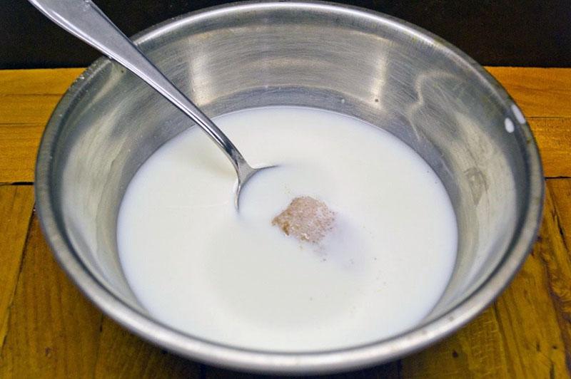 kvasac razrijediti u mlijeku