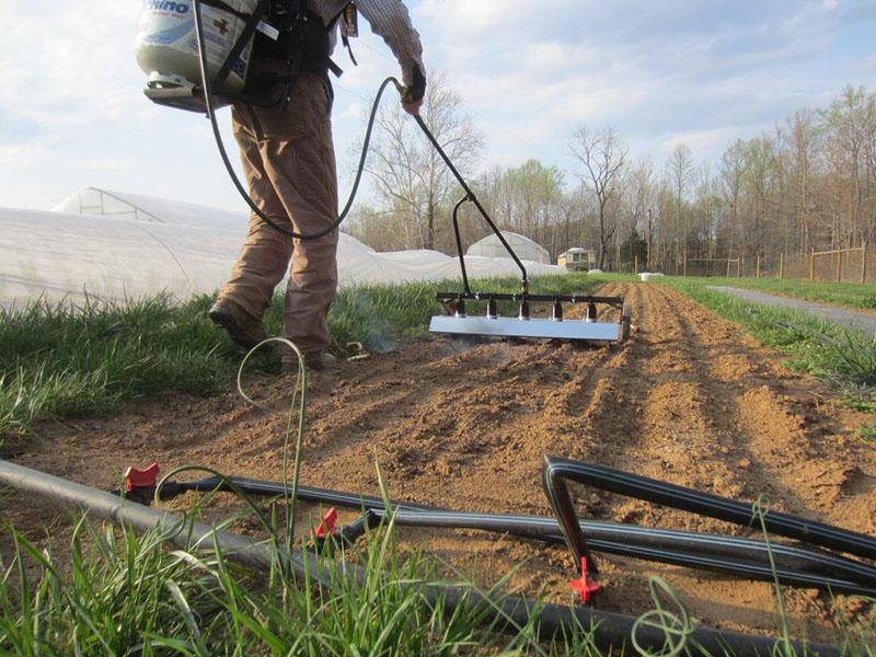 značajke uporabe herbicida stomp