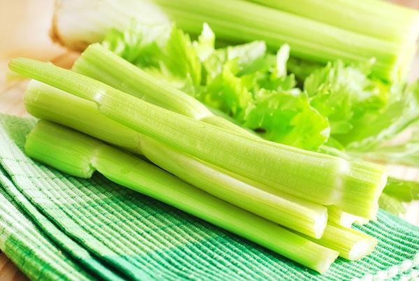 primjena celera