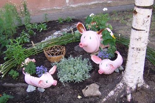 obitelj svinja iz boca