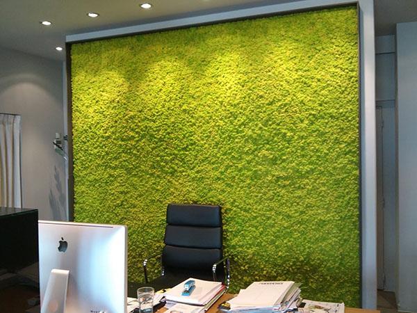 muur op kantoor gemaakt van echt mos