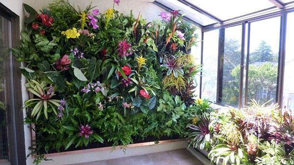 levende muur van bloeiende planten