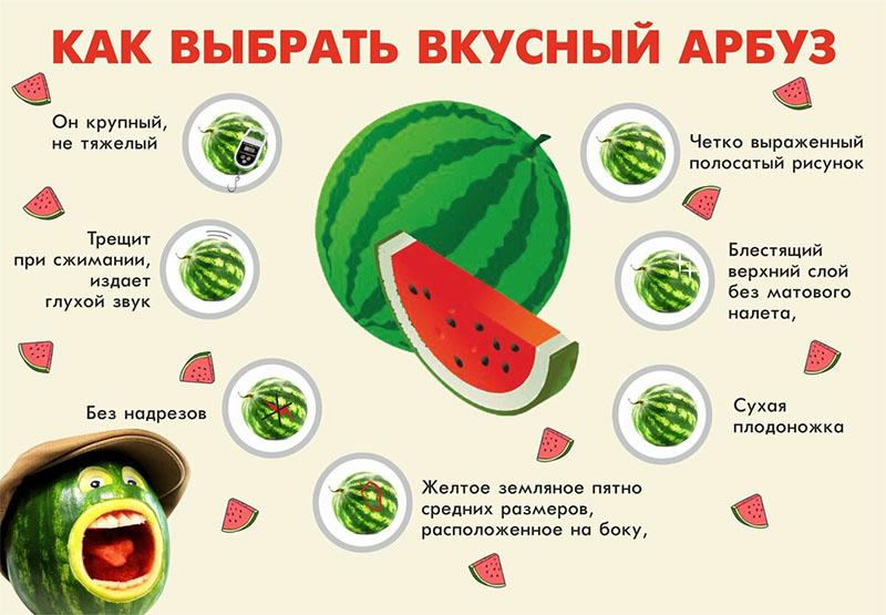 odabirom ukusne lubenice
