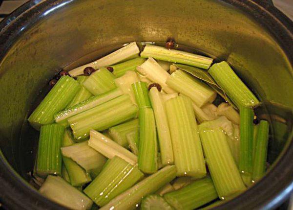 kiseli krastavac celer